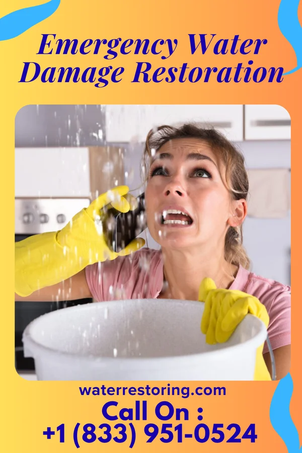 Emergency Water Damage Restoration in Winona, TX