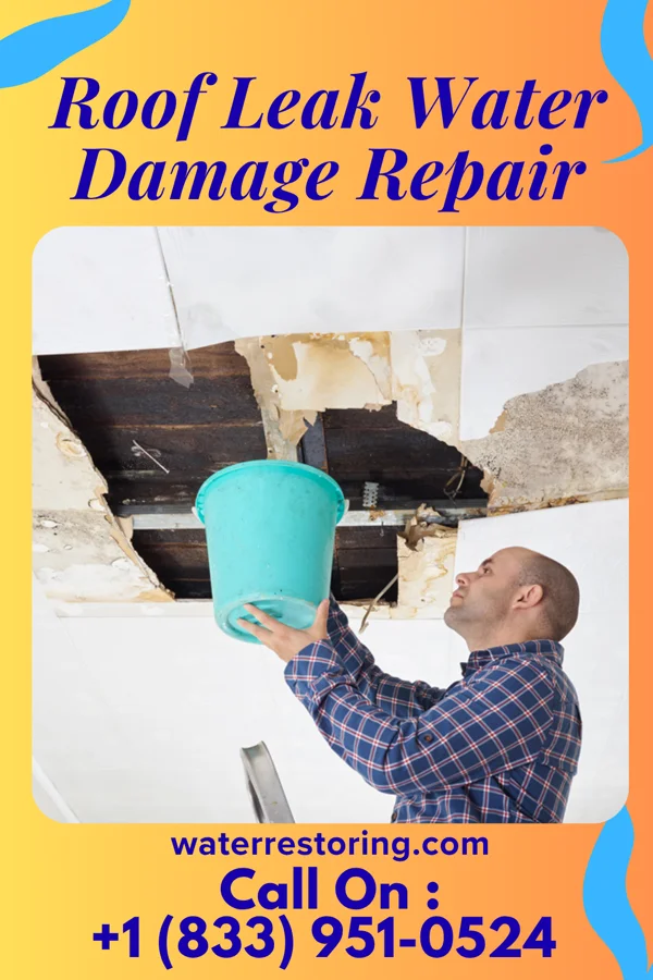 Roof Leak Water Damage Repair in Winona, TX